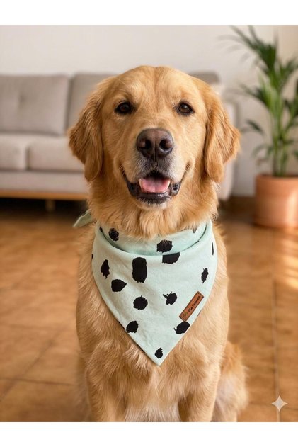 Green Tie-On Dog Bandana