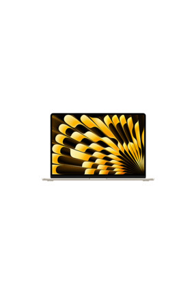 Apple 13