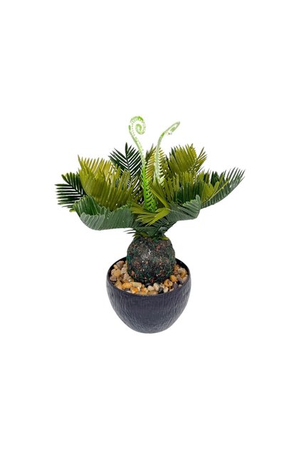 Ghiveci Plastic Rotund Artificial Planta Cycas 29cm
