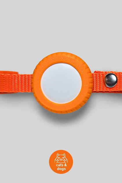 Cat Collar with Charm and Airtag Case (Safety Click)