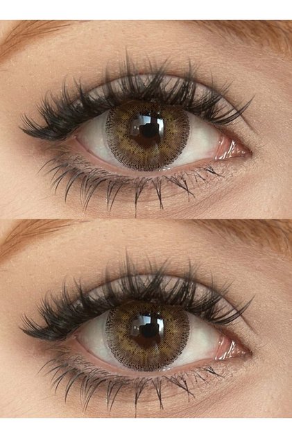 Freshlady Honey Colored Contact Lenses Yearly Disposable for Daily Wear