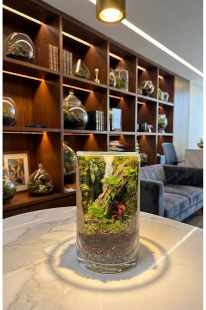 Woodland Reverie Terrarium