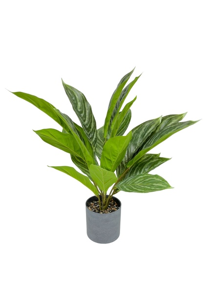 Planta Artificiala Aglaonema 45CM