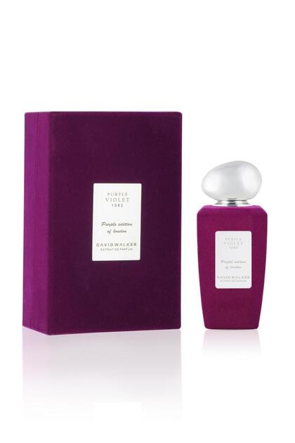 PURPLE VIOLET 1982