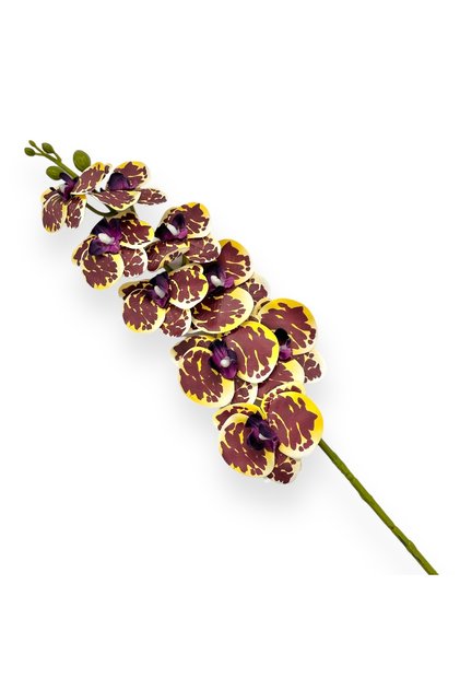Fir orhidee siliconata Dendrobium galben grena