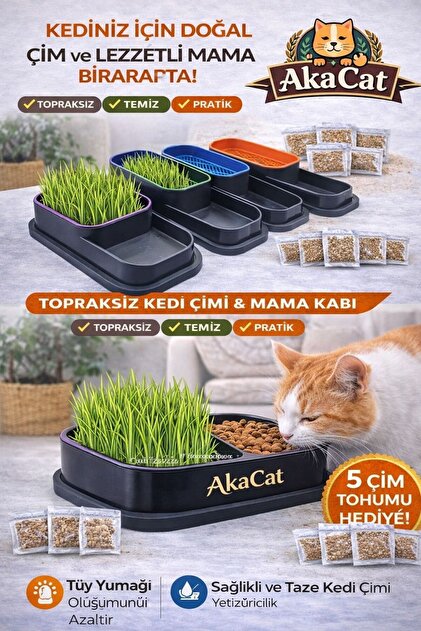 AKACAT Mama Kabı Ve Topraksız Doğal Kedi Çimi Suda Yetiştirme