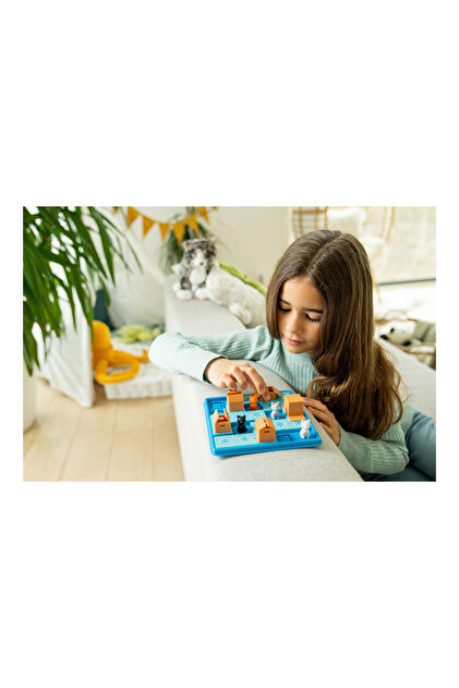 Smart Games SmartGames Zeka Oyunu Cats & Boxes SG000450 - Fiyatı