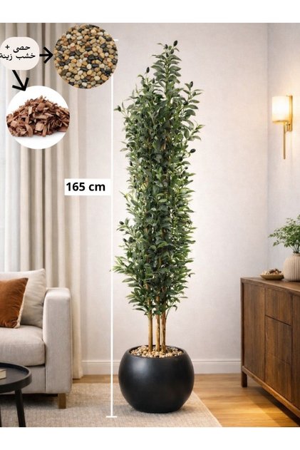 Olive Tree with 3 Branches 165 cm High with Mecanum Wheelbase