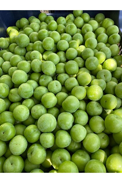 mut incisi zeytin & zeytinyağı Yeşil Erik Can Eriği Net : 500 gram