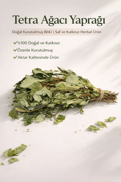Aktarzane Tetra Ağacı Yaprağı Doğal Kurutulmuş Bitki Saf ve  