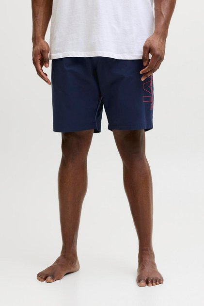 Large Size Regular Fit Deniz Sortu - Maui