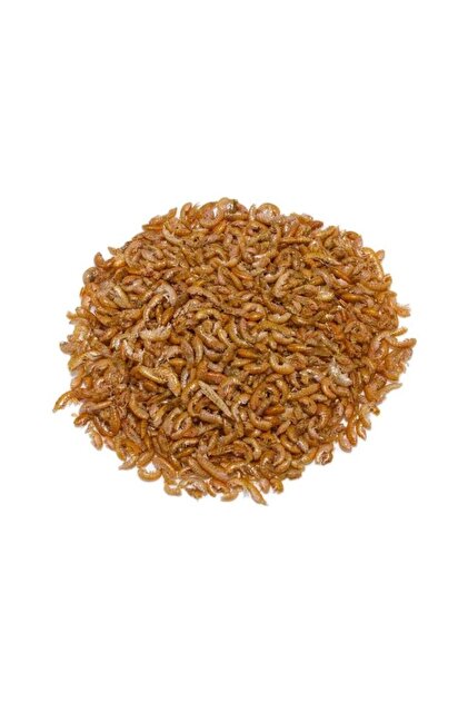 Gammarus (Karides) 25 Gr Kaplumbağa ve Balık Yemi Kurutulmuş. Ürünümüz A kalitedir Skt:11/2028