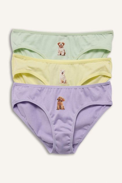 Animal Printed Combed Cotton 3-Piece Slip Panties for Girls H0849A826Sp