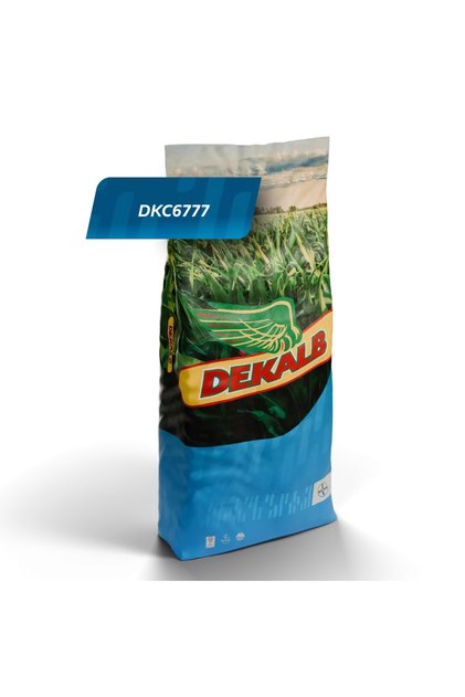 DEKALP DKC 6777 Hibrit Mısır Tohumu – Yüksek Verimli Danelik ve Silajlık | 50000 Adet