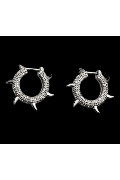 Sole Silver Earrings