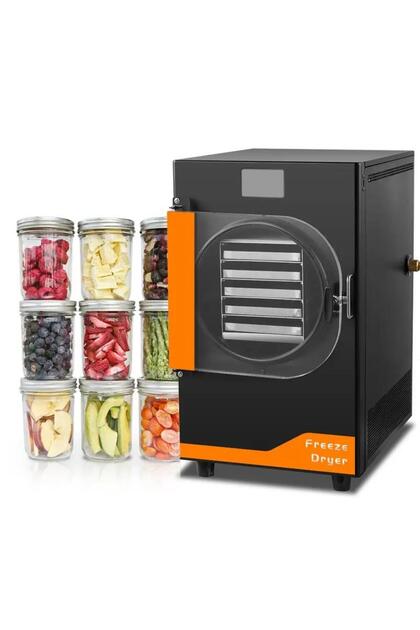 Dalle DFD-06 Freeze Dryer Dondurarak Gıda Kurutma Fırını - Fiyatı
