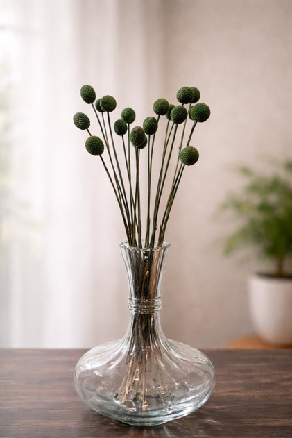 Yeşil Doğal Kurutulmuş Craspedia (Billy Button) Dekoratif Kuru Çiçek Demeti 18-20 adet 40-50 Cm