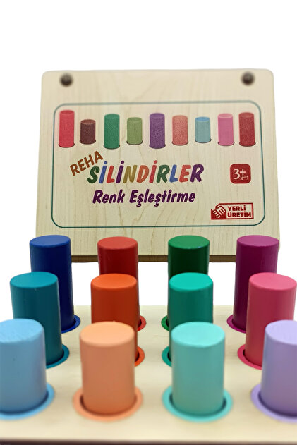 Rehatoys Montessori Color Matching Cylinders with Board