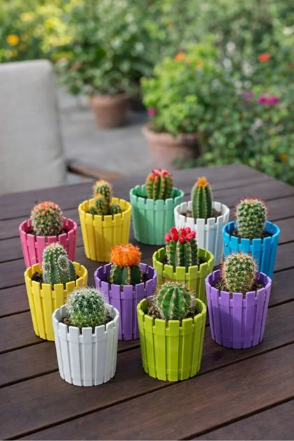 10 Adet Mini Saksı Seti Kaktüs Saksı Yuvarlak 5.5cm