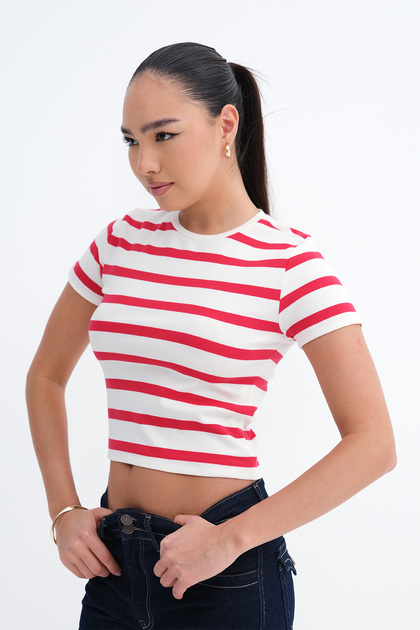 Addax Bisiklet Yaka Çizgili T-shirt P18553 - Fiyatı, Yorumları