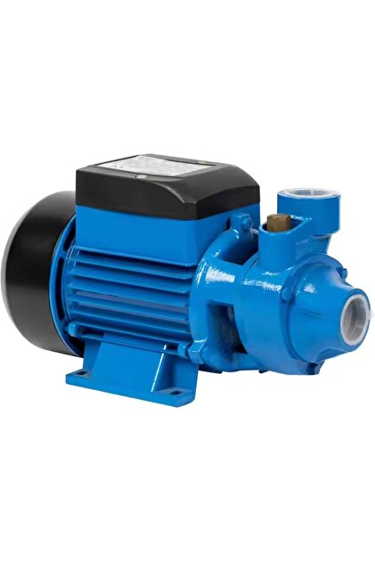 Water Pump 0.5HP High Quality Centrifugal Electric Pump with Brass Impeller 220V Made in Italy