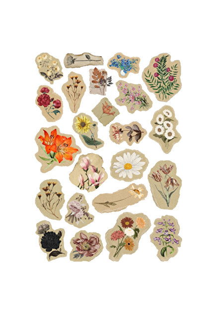 23 Pieces of Dried Flower Stickers on Antique Paper - Sticker Set Sketchbook