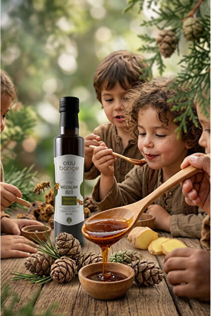 Otlu Bahçe Kozalak Özü 250 ml - Propolis, Zencefil - Fiyatı, Yorumları