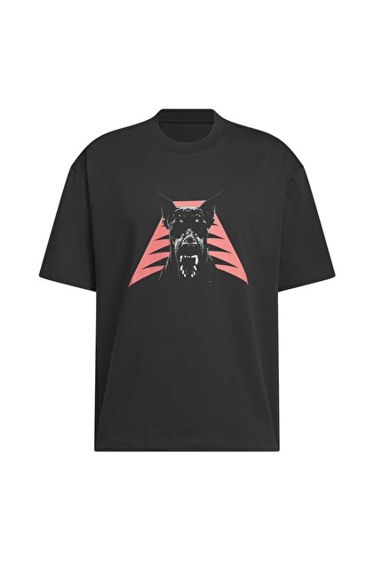 adidas Erkek T-shirt ANTED DAWG TEE JZ9447 - Fiyatı, Yorumları