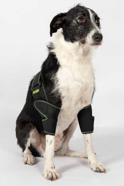 Dog Double Elbow Brace - Dog Elbow Protection