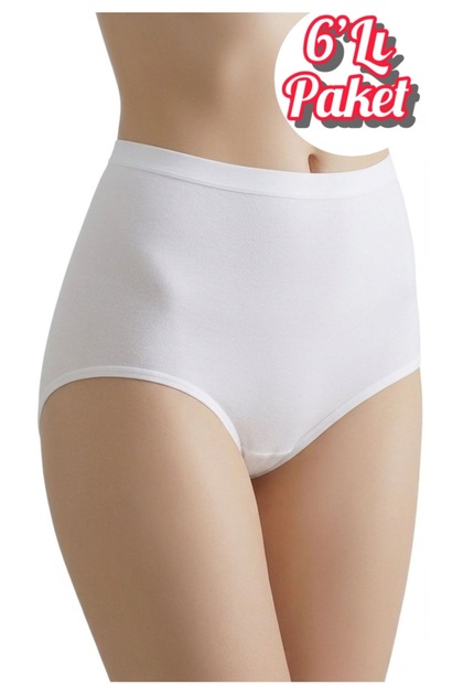 Pack of 6 Silicone Waistband Tummy Tuck Women's Fit Bato Panties Ozt6-115