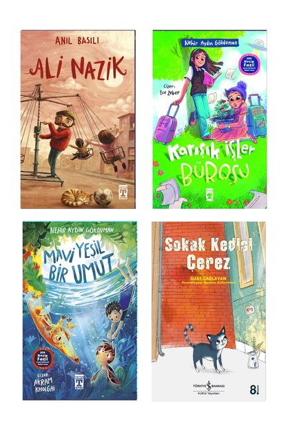 3Rd, 4Th and 5Th Grade Reading Set Anıl Basılı Ali Nazik Karışık İşler Bürosu Blue Green a Hope Street Cat