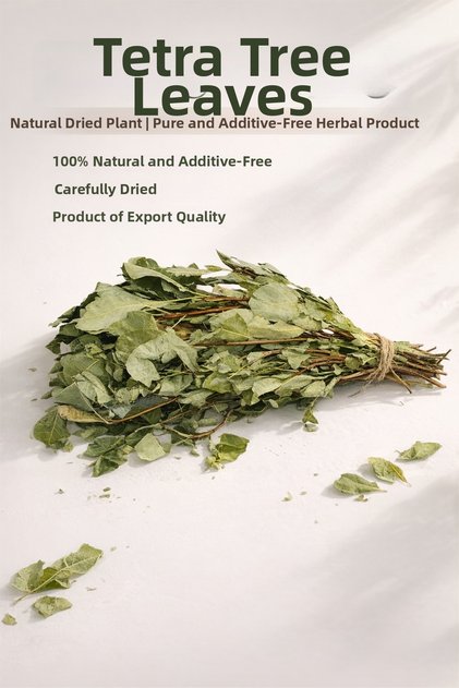 Tetra Tree Leaf Natural Dried Herb - Pure and Without Additives 1000 Gr