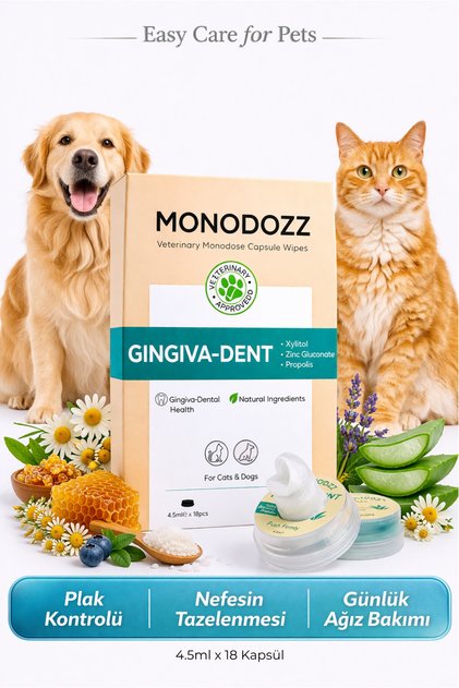 Gingiva-Dent Push Up Capsule Wipes | Kedi Köpek Ağız, Diş Bakımı Plak Kontrolü Dermakozmetik Mendil