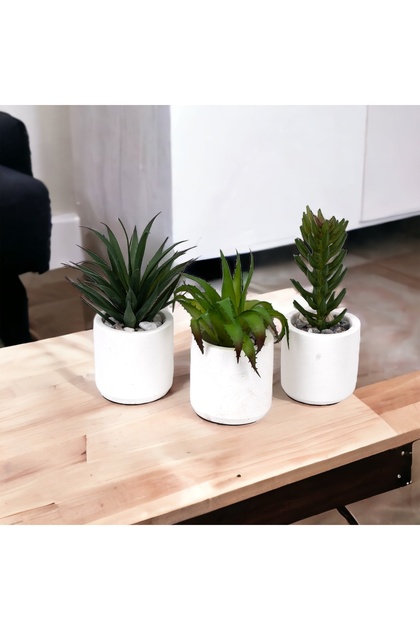 Beyaz Renkli Modern Saksıda Yapay 3'lü Kaktüs Sukulent Seti