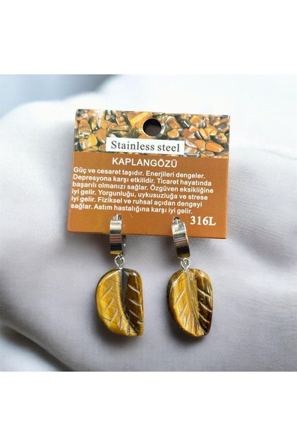 Aurastone Tiger's Eye Natural Stone Earrings with Steel Apparatus