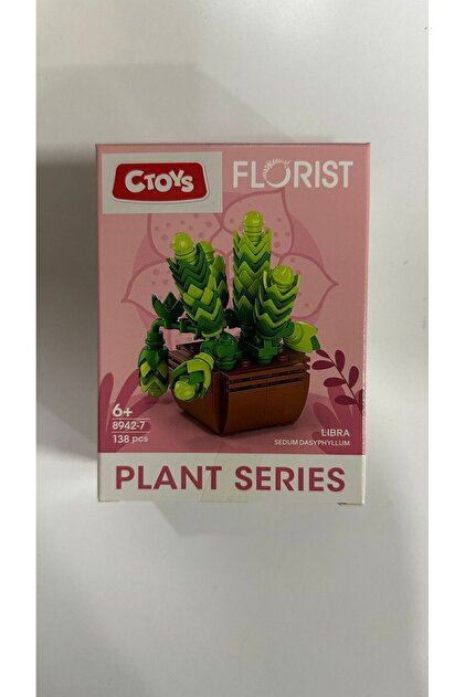 Toyzade CTOYS cancer 8942-4 Çiçek Yapma Blok Seti Mikro Lego