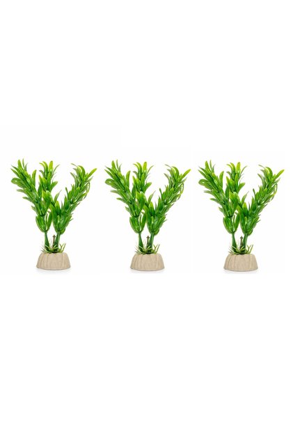 3'lü Plastik Akvaryum Bitkisi 10 cm PB16