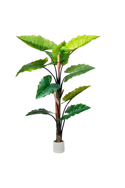 150cm Artificial banana Tree - Faux banana Plant with White Planter for Home Office Decor