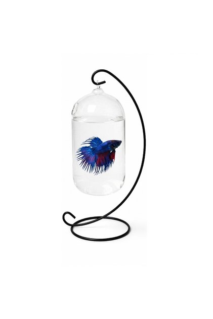 Hanging Glass Terrarium for Plants and Fish with Black C-Shape Stand - Total Height 28cm