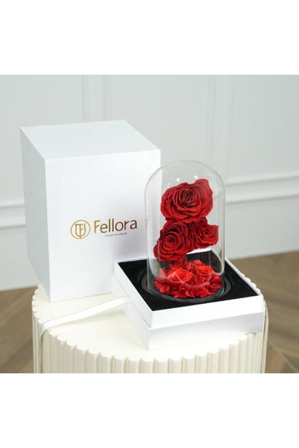 Fellora Premium Red Infinity Roses