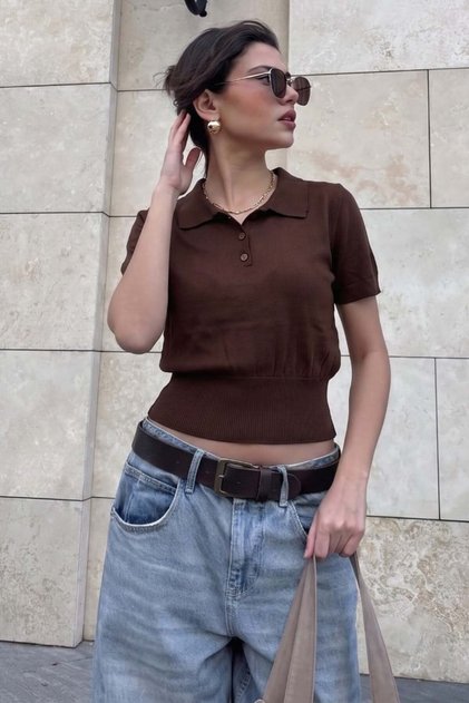 Brown Slim Fit Polo Collar Knitwear T-Shirt Mg2805