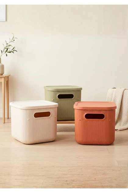 Homing 3 Adet Çok Amaçlı Kapaklı Renkli Organizer Kutu 6.2lt