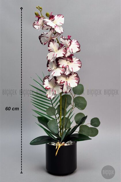 Yapay Phalaenopsis Orkide Buyuk Boy