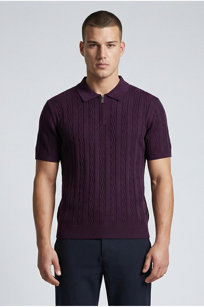 Plum Polo Collar Half Zipper Men's T-Shirt