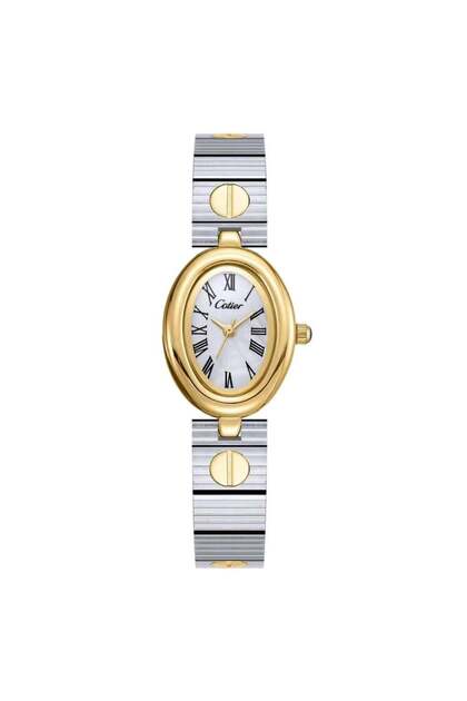 Women's silver and gold steel watch