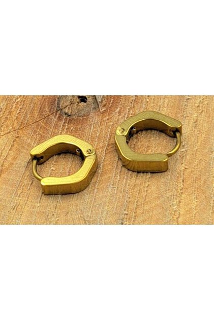 Steel Gold Color Shaped Couple Unisex Earrings