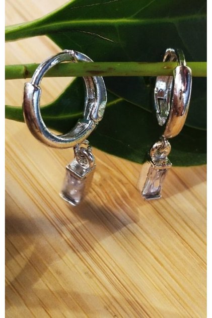 Silver Color Luxury Flashy Figured Earrings