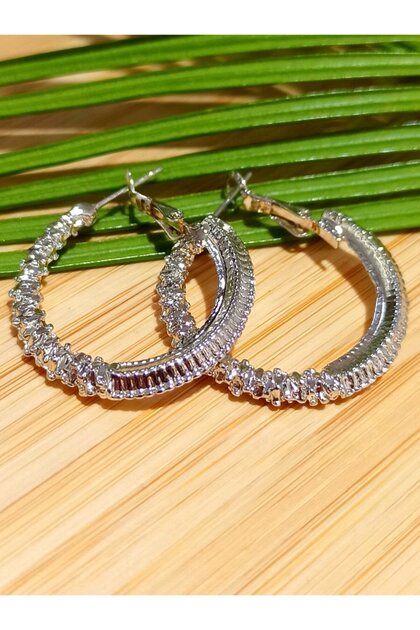 Silver Color Luxury Flashy Figured Hoop Earrings