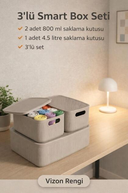 Linea Smart Box Mink Set of 3, 1 Piece of 4.5 Lt, 2 Pieces of 2.4 Lt with Lids, Multi-Purpose Storage Box