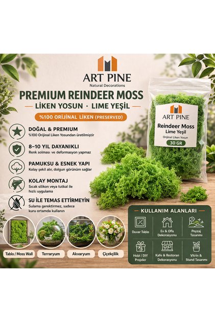 Premium Preserved Şoklanmış Yeşil Renk ReindeerMoss - Likenmoss Terraryum Yosunu 30gr -